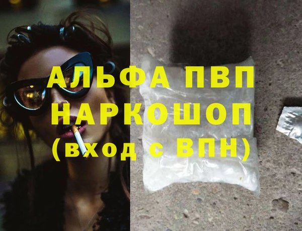 СК Белокуриха